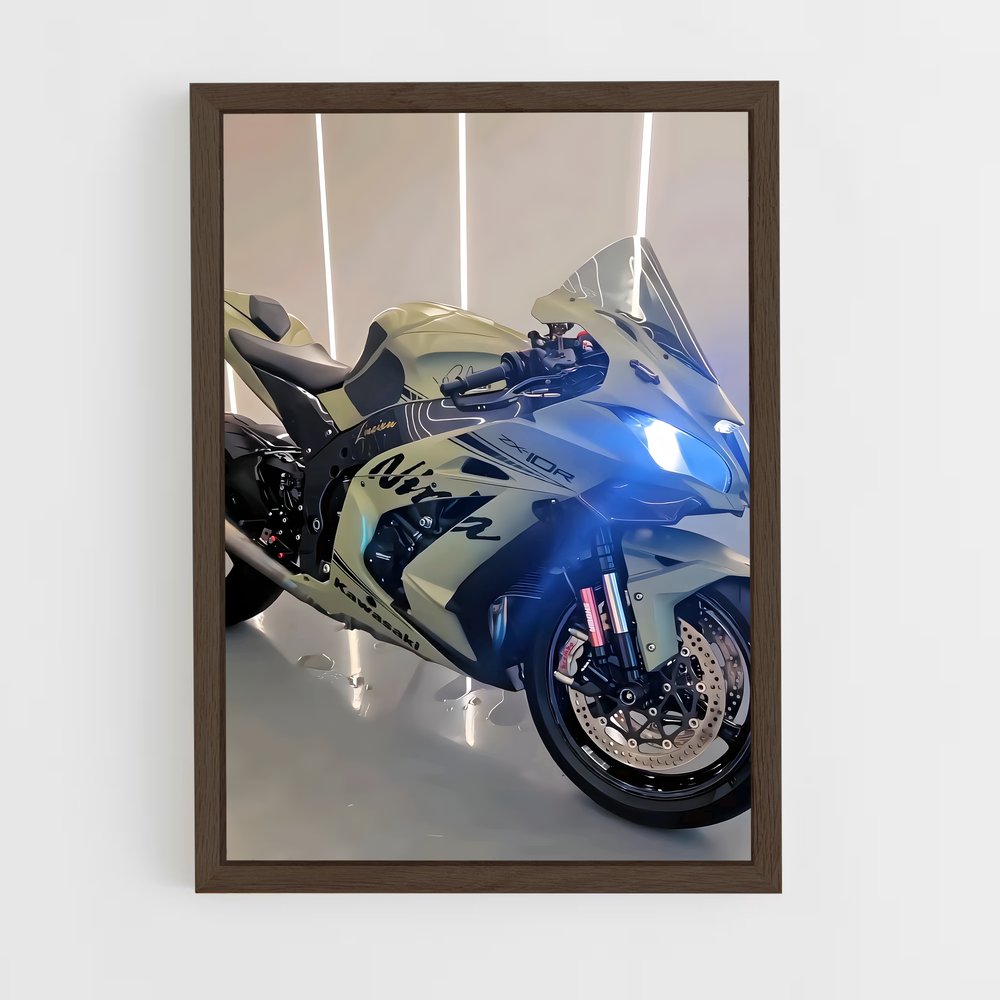 Poster Ninja En Garde (vue 5)